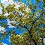 chris markson Profile Picture