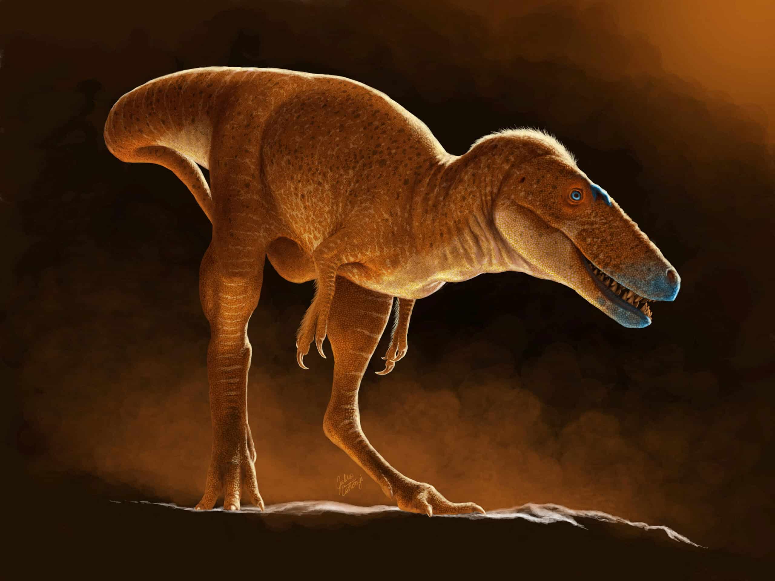 Unveiling the Dragon Prince Dinosaur: A Predecessor of T. Rex