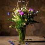 Shamsuddeen Muhammad Profile Picture