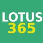 lotus365 official profile picture