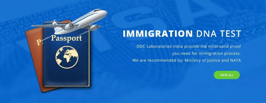 Immigration DNA Tests in Modinagar for a Successful Family Immigration Process | daddycow.com