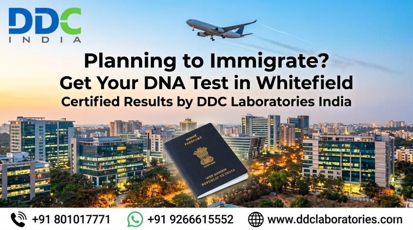 Simple Guide to Proving Family Ties for Your Sponsored Visa | daddycow.com