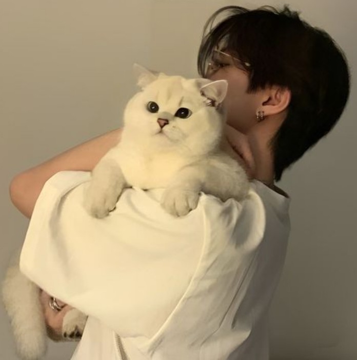 Feishengya Profile Picture